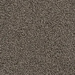 Trend 026 Tapijt AMBRA 500cm kleur 48 x 500,0 Tijdelijk Beschikbaar