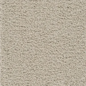 Rechtstreeks Van De Fabrikant Trend 026 Tapijt AMBRA 500cm kleur 30 x 500,0