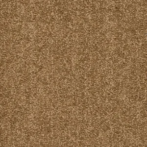 Trend 026 Tapijt ALAMO 500 cm kleur 35 x 500,0 Dagaanbieding
