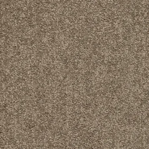Trend 026 Tapijt ALAMO 500 cm kleur 34 x 500,0 Alleen Vandaag