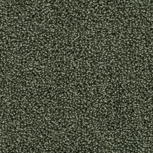 Trend 026 Tapijt AMBRA 400cm kleur 24 x 400,0 Koop Online
