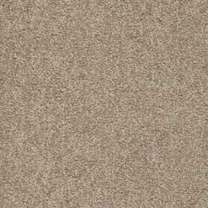 Trend 026 Tapijt ALAMO 400 cm kleur 39 x 400,0 Betrouwbaar