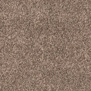 Gecertificeerd Homeline 27 Tapijt Lord 500 cm kleur 420