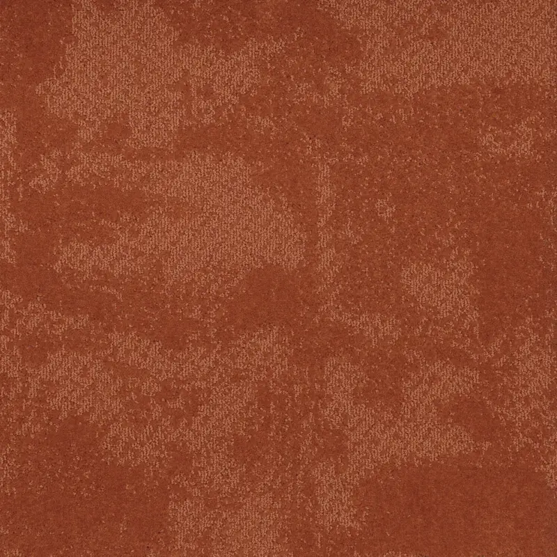 Dagaanbieding Arriva 027 Tapijt Grande 400cm kleur 552 x 400