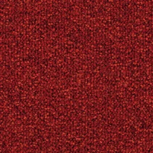 Format 25 Tapijt MENUETT 400cm kleur 105 Lage Kosten
