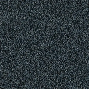 Koopje Format 25 Tapijt ROBUST 400cm kleur 79