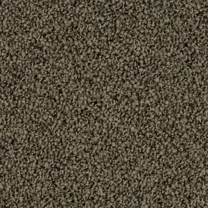 Op = Op Format 25 Tapijt ROBUST 400cm kleur 39