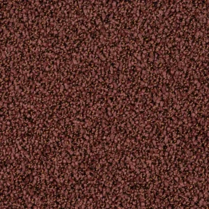Format 25 Tapijt ROBUST 400cm kleur 15 Veilige Betaling