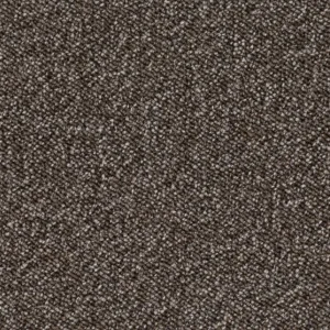 Koop Vandaag Format 25 Tapijt PINOLI 500cm kleur 40