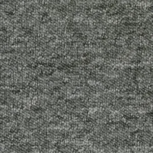 Koop Vandaag Format 25 Tapijt RAPID 400cm kleur 573