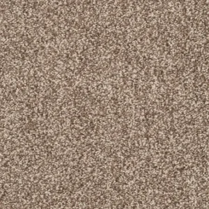 Trend 026 Tapijt DERBY 500cm kleur 38 x 500,0 Alleen Vandaag