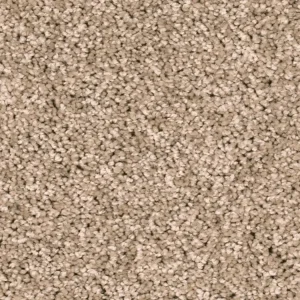Rechtstreeks Van De Fabrikant Homeline 27 Tapijt Heres 500 cm kleur 72