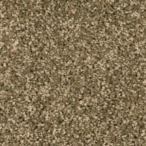 Betrouwbaar Homeline 27 Tapijt Heres 500 cm kleur 40