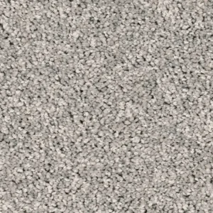 Rechtstreeks Van De Fabrikant Homeline 27 Tapijt Heres 500 cm kleur 174