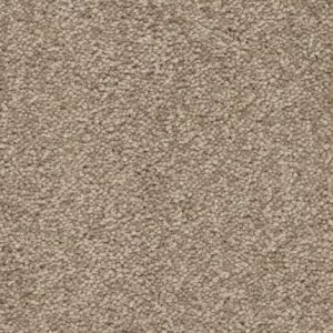 Arriva 027 Tapijt Secrets 500cm kleur 90 x 500,0 Hete Deal