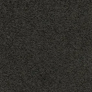 Veilige Betaling Trend 026 Tapijt NOBEL 400 cm kleur 79 x 400,0