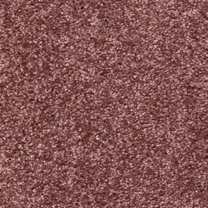 Goedkoop Trend 026 Tapijt RIGOLETTO 500cm kleur 62 x 500,0