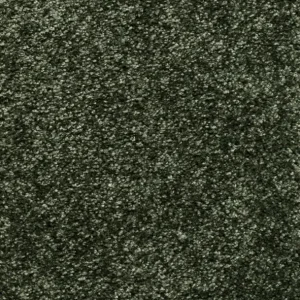 Trend 026 Tapijt RIGOLETTO 500cm kleur 28 x 500,0 Fabrieksprijs