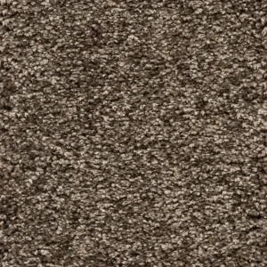 Lage Prijs Trend 026 Tapijt RIGOLETTO 500cm kleur 141 x 500,0
