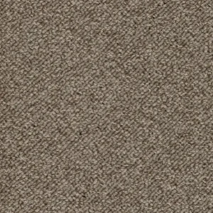 Koopje Trend 026 Tapijt TERRA 500 cm kleur 71 x 500,0