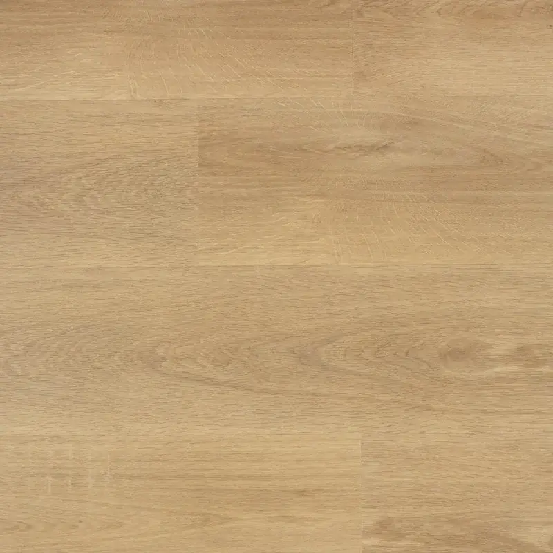 SENSE 955 H SPC B 123 x 22,5 cm Koop Vandaag