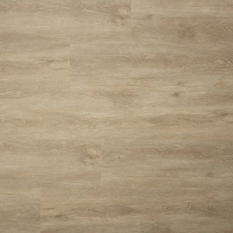 Bestel Nu SENSE E55 EIR SPC G 123×22,5 cm
