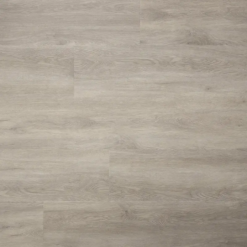 Alleen Vandaag SENSE E45 EIR SPC G 123×22,5 cm