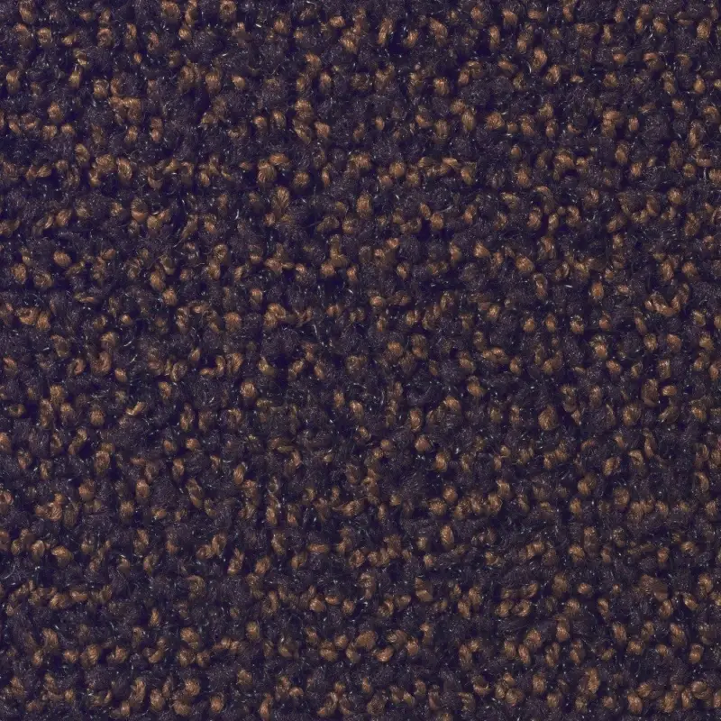 Homburg deurmat 60 x 90 cm Porte bruin (schoonloop) Beste Prijs