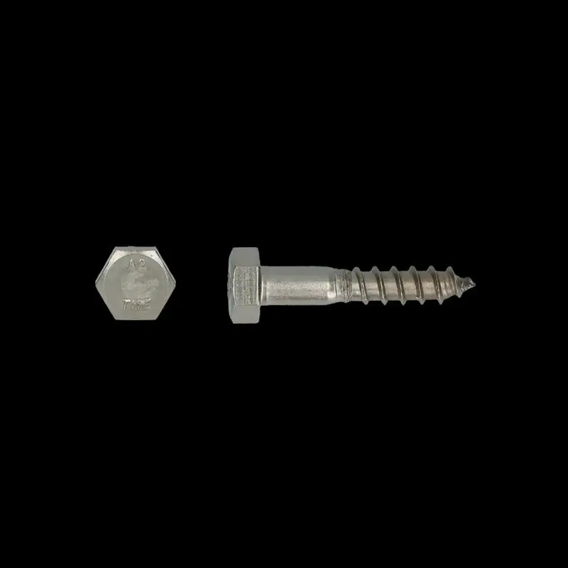 Nu Kopen Houtdraadbout Ø6x90 DIN 571 RVS A2 (100 stuks)